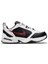 Air Monarch Iv (4e) 101 Renk 101 4
