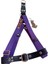Köpek göğüs tasması hakiki deri mor kolon orta ve büyük ırk genişlik:2,5cm göğüs ölçüsü:50-90cm ayarlamalı dog harness GT5-19 2