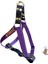 Köpek göğüs tasması gezdirme kayışlı takım kolon nubuk deri mor siyah göğüs ölçüsü:50-90cm ayarlamalı gezdirme kayışı:120cm dog harness TB5-10 3