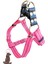 Köpek göğüs tasması gezdirme kayışlı takım pembe kolon genişlik:2,5cm göğüs ölçüsü:45-70cm ayarlamalı gezdirme kayışı:120cm dog harness TB3-6 2