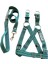 Köpek göğüs tasması gezdirme kayışlı takım kolon yeşil göğüs ölçüsü:50-80cm ayarlamalı gezdirme kayışı:120cm dog harness TB3-7 3