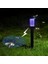 Yard Garden Için Güneş Enerjili LED Açık Çim Su Geçirmez Sivrisinek Zapper Lambası (Yurt Dışından) 2