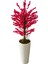 Fuşya Bahardalı 200 cm Yapay Ağaç 80X40 Beyaz Kumsal Saksı 1