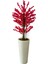 Fuşya Bahardalı 200 cm Yapay Ağaç 80X40 Beyaz Kumsal Saksı 2