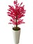 Fuşya Bahardalı 200 cm Yapay Ağaç 80X40 Beyaz Kumsal Saksı 3