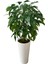 Yeşil Ceviz 200 cm Yapay Ağaç 80X40 Beyaz Kumsal Saksı 2