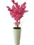 Lüx Pembe Bahardalı 200 cm Yapay Ağaç 80X40 Beyaz Kumsal Saksı 1