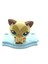 PopŞeker Littlest Pet Shop Minişler 2'li Standlı Oyuncak Miniş Karakterleri 3