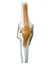 Tam İskelett Maketi 170 cm Model 11 3