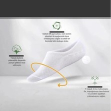 Efna Store Bolero Erkek 3'lü Pamuklu Sneakers Çorap Siyah Beyaz Gri