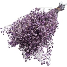 Vipfoni Kuru Cipso Demeti