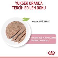 Royal Canin Mother  Baby Cat Instinctive Yavru Kedi Konservesi 195 gr