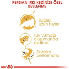 Royal Canin Persian 30 Yetişkin Iran Kedilerine Özel Mama 4 kg