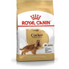 Royal Canin Cocker Adult Özel Irk Yetişkin Köpek Mamasi 3 kg