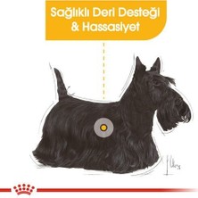 Royal Canin Mini Dermacomfort Deri Hassasiyeti Için Köpek Mamasi 3 kg