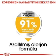 Royal Canin Mini Dermacomfort Deri Hassasiyeti Için Köpek Mamasi 3 kg