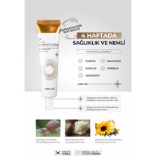 Lebelage Salyangoz Özlü Nemlendirici Göz Kremi - Dr. Snail Derma Eye Cream 40 ml