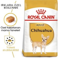 Royal Canin Chihuahua Yetişkin Köpek Maması 1,5 kg