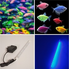 Orion Led Aquaslim Royal Mavi / Transgenetik Tetra Türler Için Akvaryum LED Aydınlatma