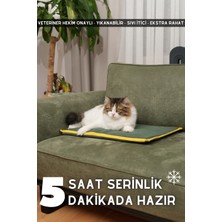 Pawdaz Avantajlı Yeşil Set ( Serin - Dino - Kokusuz )