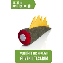 Pawdaz Avantajlı Yeşil Set ( Serin - Dino - Kokusuz )