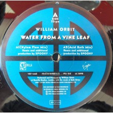 Alithestereo Plak - Water From A Vine Leaf - 	progressive House Tarz Plak