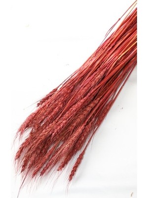 Vipfoni Kuru Başak Demeti