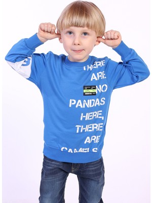 Toontoy Erkek Çocuk Ön ve Kol Baskılı Sweatshirt