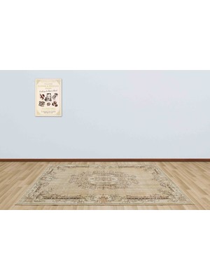 Sempati Halı Yün ve Pamuklu Eskitme Vintage Halı 167 x 278 cm 2798