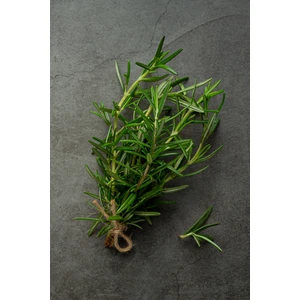 Doğal Taptaze Organik Biberiye Otu Dalından Evinize Taze Rosemarine Rozmarin Rosemary