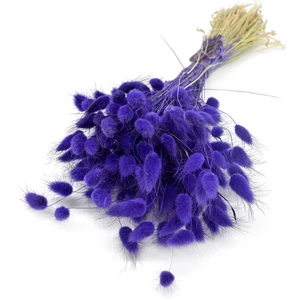 Kuru Pamuk Otu Demeti