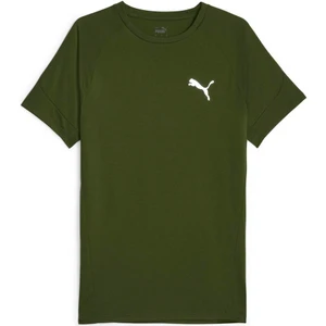 Evostripe Tee Erkek T-Shirt