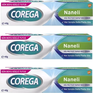 Diş Protezi Yapıştırıcı Krem Naneli Aroma ile 40g 3 Adet Güçlü Tutuş Sağlar