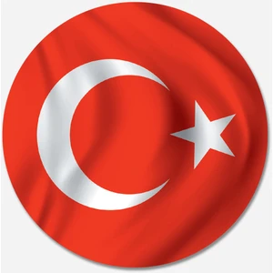 Car Magnet Carmagnet Mıknatıslı Tak Çıkart Araç Aksesuarı