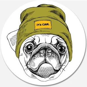 Car Magnet Carmagnet Mıknatıslı Tak Çıkart Araç Aksesuarı