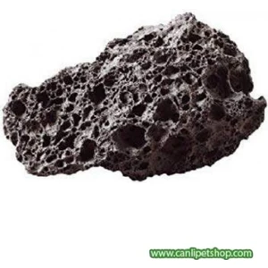 Canlı Petshop Dekoratif Doğal Lav Kaya Siyah (10X10) 10 Adet