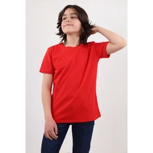 Toontoy Erkek Çocuk Tişört