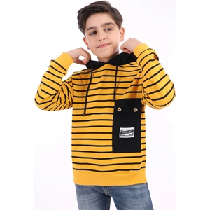 Toontoy Erkek Çocuk Sweatshirt