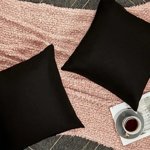 Zeren Home Sıvı ve Lekeye Dayanıklı Dekoratif Kırlent Kılıfı 2 Adet
