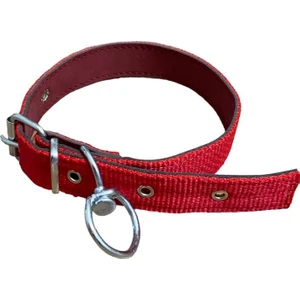 Köpek Tasması Yetişkin Küçük Orta Irk Köpek Boyun Tasması