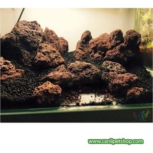 Canlı Petshop Dekoratif Doğal Lav Kaya Turuncu 10 Adet