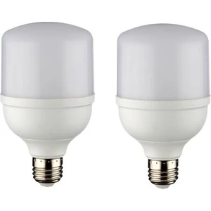 20 W Torch Ampül 2'li HS2028