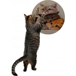 Desenli Çift Taraflı Kedi Tırmalama PaspasıYuvarlak Three Cat 36 x 36 cm