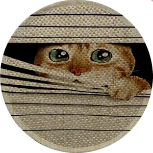 Desenli Çift Taraflı Kedi Tırmalama Paspası Yuvarlak 36 x 36 cm