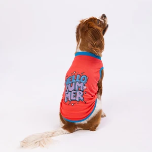 Nar Çiçeği Hello Summer Kedi Köpek Tişörtü - Kedi Köpek Kıyafeti Xlarge