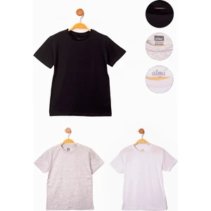 Harika Kids Siyah-Beyaz-Gri Erkek Çocuk Basic 3'lü Kısa Kollu T-Shirt