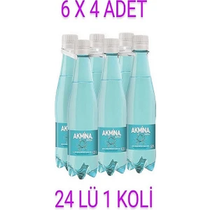 Maden Suyu Sade 250 cc 6*4 24 Ad