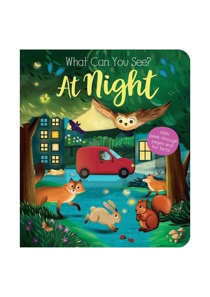 What Can You See? At Night