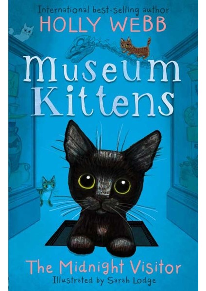 Holly Webb Animal Stories: Museum Kittens: The Midnight Visitor