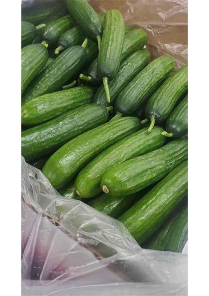 60 x 90 Kasa Torbası 500 Adet Körüklü Koli Torbası Efor Salatalık Patlıcan Meyve Sebze Koruma Torbası Kasa Poşeti Ekmek Kasası Poşeti